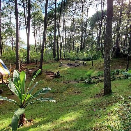 Cabana Rustica A 1Km De Cascada Мазамитла Экстерьер фото