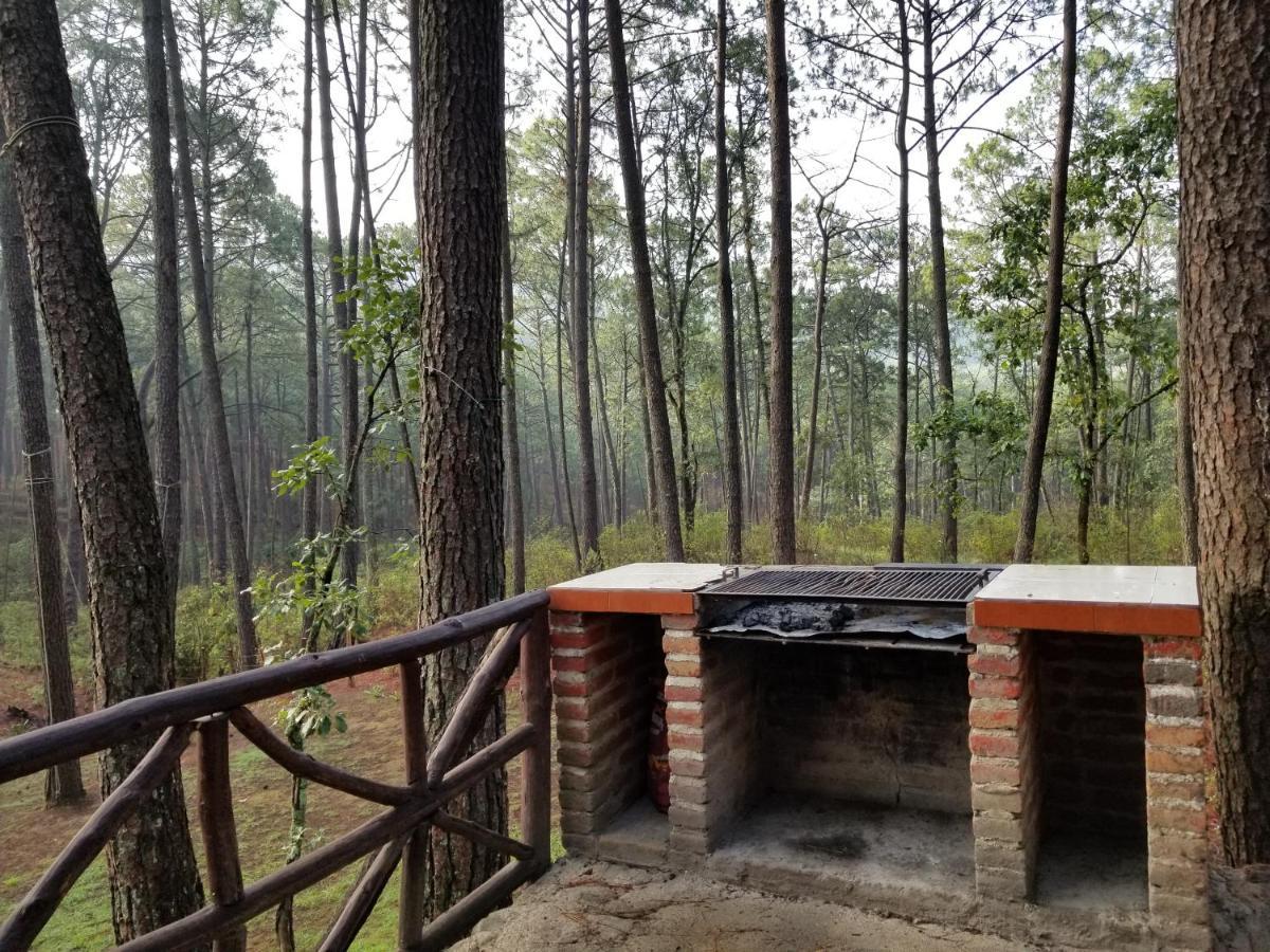 Cabana Rustica A 1Km De Cascada Мазамитла Экстерьер фото