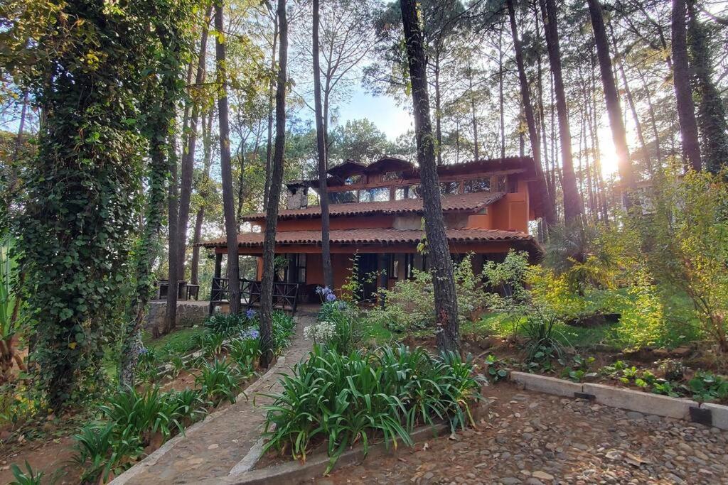 Cabana Rustica A 1Km De Cascada Мазамитла Экстерьер фото