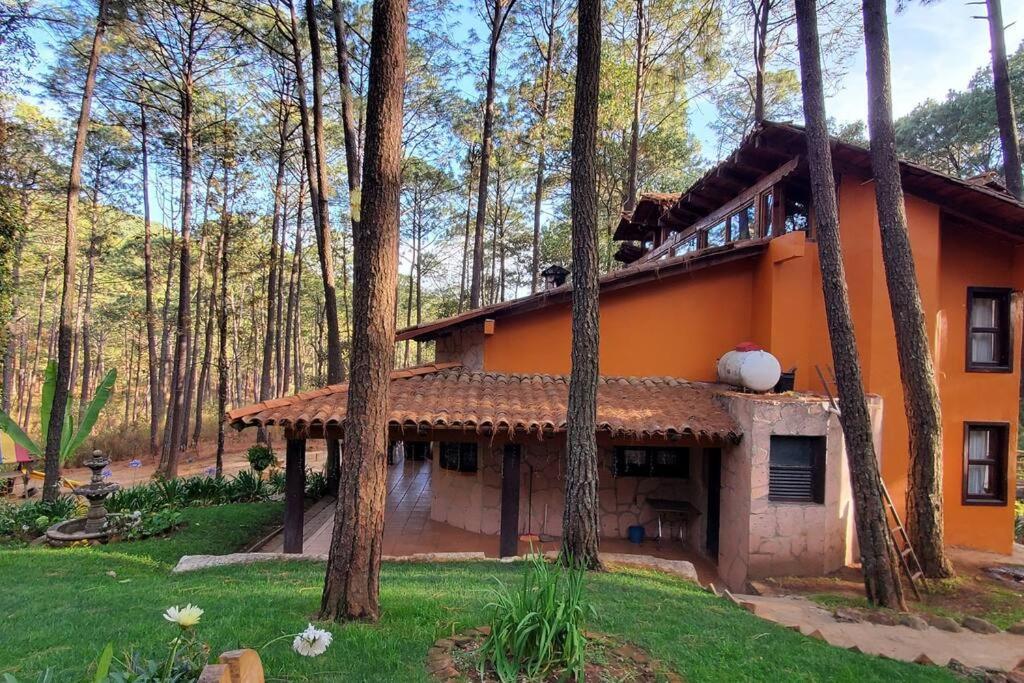 Cabana Rustica A 1Km De Cascada Мазамитла Экстерьер фото