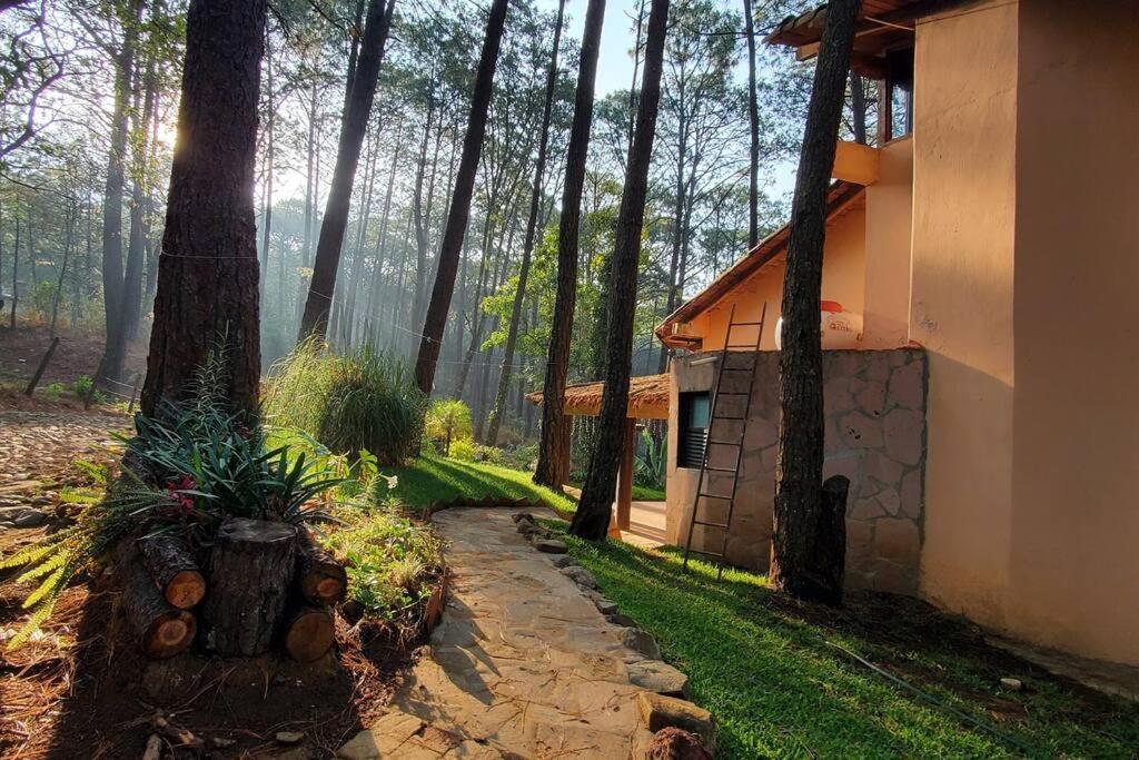 Cabana Rustica A 1Km De Cascada Мазамитла Экстерьер фото