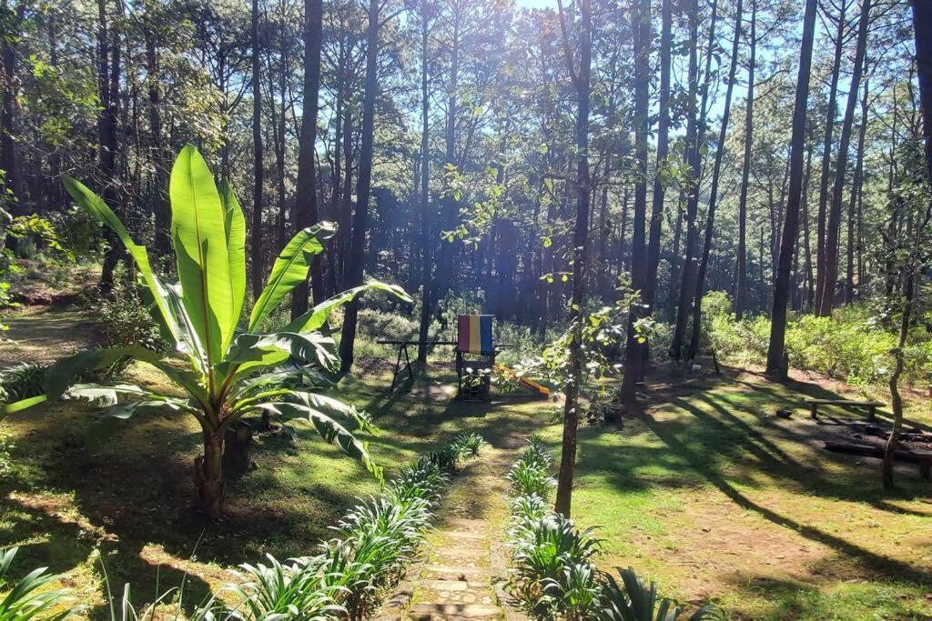 Cabana Rustica A 1Km De Cascada Мазамитла Экстерьер фото