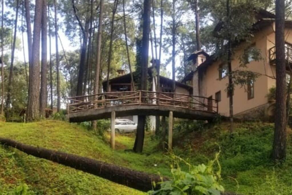 Cabana Rustica A 1Km De Cascada Мазамитла Экстерьер фото
